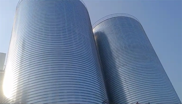 玉林2座混凝土高架卷板仓